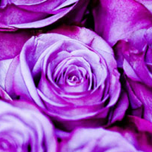 引爆市场格局的DDOS在线攻击平台